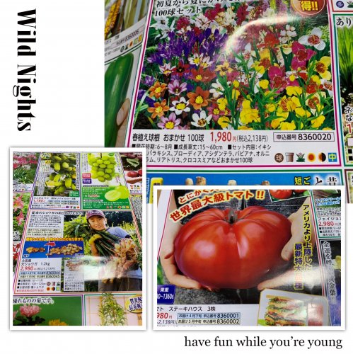 「こんにちは( ^-^) 皆さんの趣味を教」の回答画像364