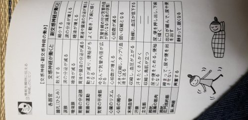 「自律神経が乱れるとどんな症状がでますか?」の回答画像2