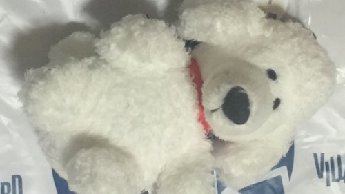 「あなたが気に入っている 『可愛いもの』は」の回答画像155