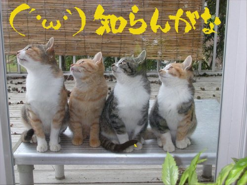 「友人。これって嫌味?わたし嫌われてますか」の回答画像4