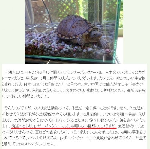 「この「前述のとおり」の「前述」とは、どこ」の質問画像