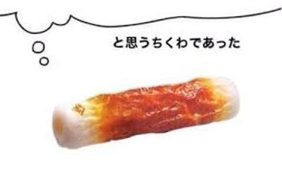 「民主化とは一体なんなのでしょうか?」の回答画像6