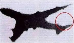 「日本航空のジャンボ機の事故の反省は全く生」の回答画像8