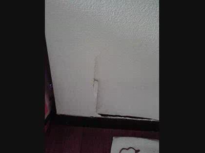 「賃貸アパートに住んでおりますが、数日前に」の質問画像