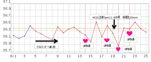「基礎体温表を見て頂きたいです。」の質問画像