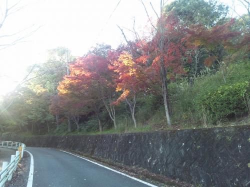 「あなたのおすすめの紅葉スポットを教えて」の回答画像10
