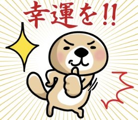 「アラフィフの男性に質問です。 アラフィフ」の回答画像19
