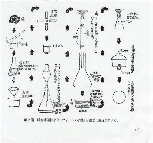 「大学生男子です 大腿骨頭壊死について 大」の回答画像6