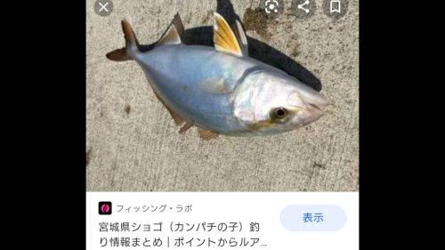 「あなたの気分が、高まる↑↑ 事は何ですか」の回答画像28