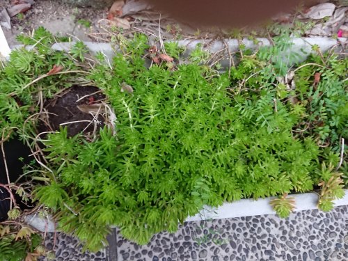 「今日あった日を、話聞かせて下さい部屋です」の回答画像171
