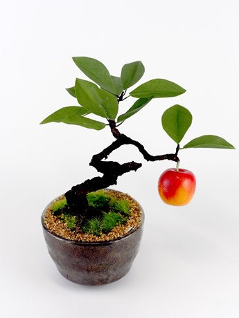 「知ってるけど!知らんふり 分かってるけど」の回答画像23
