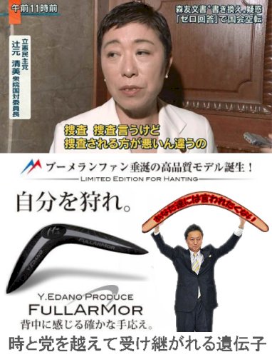 「桜を見る会の事に関しては我々国民より辻元」の回答画像6