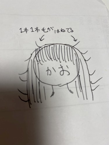 「絵が下手なのはごめんなさい。 何度か美容」の質問画像