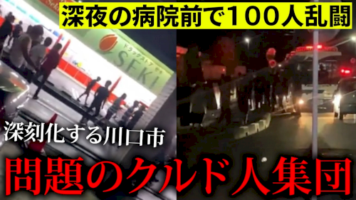 「クルド人を始め不法滞在者の送還に、数千億」の回答画像5