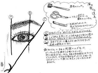 「眉毛を初めてカットしますが手段を教えてく」の回答画像4