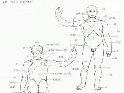 「腋?解剖学的に…」の回答画像2