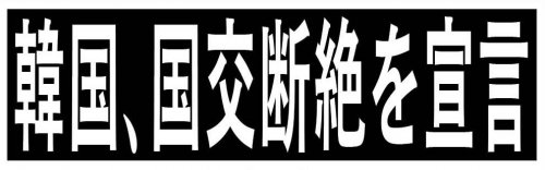 「韓国とは国交断絶になりますな?」の回答画像11