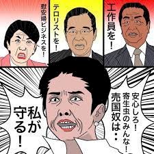 「中国人の蓮舫さんが日本で国会議員やってる」の回答画像13