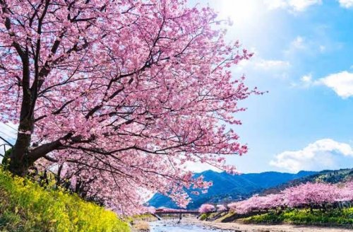 「思わず(*≧∀≦*) 最近、保存しちゃっ」の回答画像41