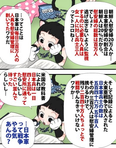 「異性愛者の男性から見た従軍慰安婦について」の回答画像14
