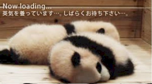 「◇今日は伊達巻の日です。 おはようござい」の回答画像1115