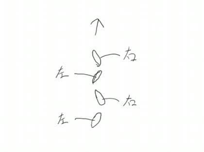 「着物の時の歩き方」の回答画像3