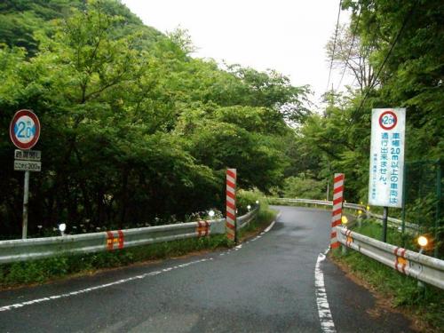 「あなたが好きな刺激的なモノ」の回答画像13
