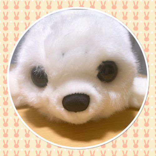 「思わず(*≧∀≦*) 最近、保存しちゃっ」の回答画像2