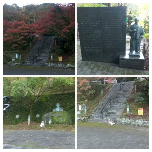 「皆さん、紅葉は見れましたか? 又は何処か」の回答画像4
