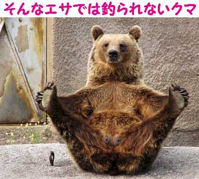 「安倍晋三と麻生太郎は歴史に名を残す偉人で」の回答画像10