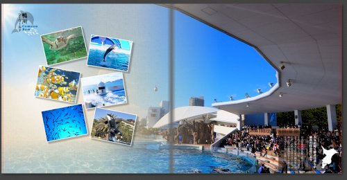 「自身で撮影した施設の写真私用について」の質問画像