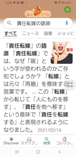 「責任転嫁という言葉」の回答画像13