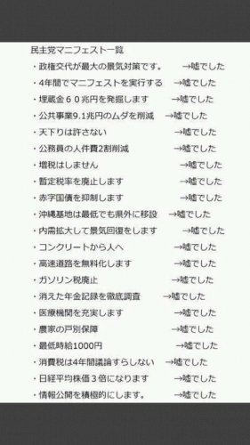 「もし、立憲民主党が与党になったとして、党」の回答画像11