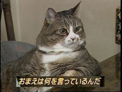 「回答に対して、なぜ個々にお礼をせずに補足」の回答画像14