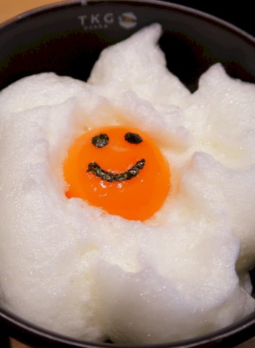「玉子かけ御飯は、卵黄のみのが濃くて美味し」の回答画像18