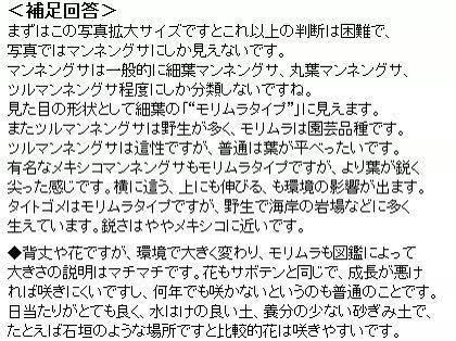 「植物の名前をお教えください。04-19-」の回答画像1