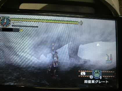 「モンハン2ndGのラオシャンロン亜種」の回答画像6