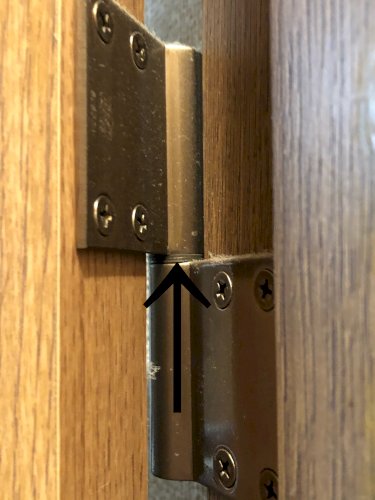 「扉のギーギー音が気になります 最近トイレ」の質問画像