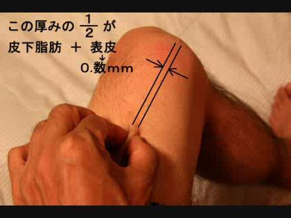 「筋肉太りで悩んでます」の回答画像1