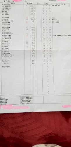 「我が家の猫ちゃんの事で悩んでます。 7年」の質問画像
