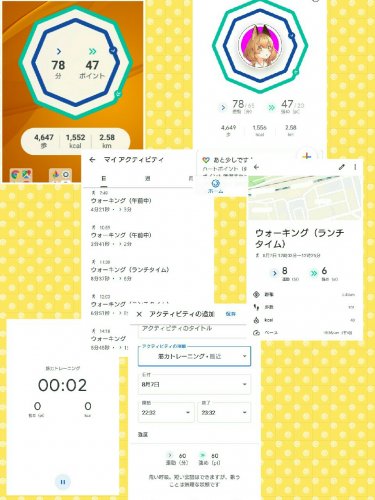 「Instagramでダイエットで歩いた時」の回答画像2