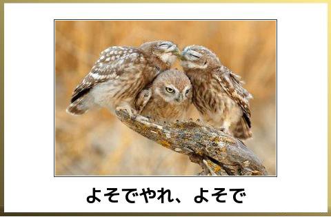 「生理についてです。 不快に思われたら申し」の回答画像3