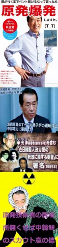 「結局、立憲民主党最高顧問の管直人さんが、」の回答画像12
