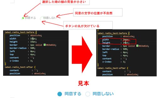 「ラジオボタンの大きさを変更したいです。大」の質問画像