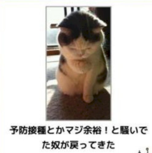 「思わず反応したら・・・負け」の回答画像30