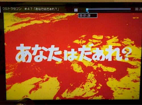 「中国の人権問題について」の回答画像11