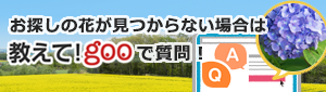 「自演? やたらと花の名前の質問が多いです」の回答画像1