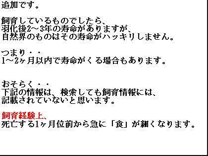 「クワガタの飼育法」の回答画像2