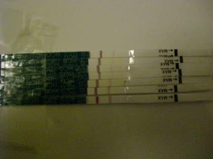 「hCG10000を注射後の擬陽性と陽性と」の質問画像