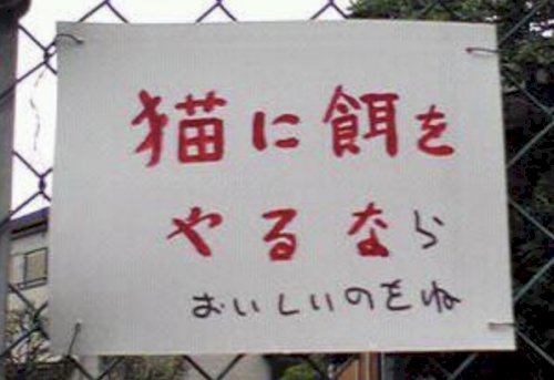 「内容 小学4年生の弟が不登校です。 半年」の回答画像1